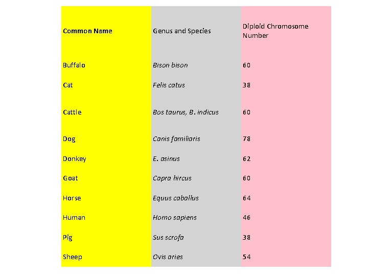 Common Name Genus and Species Diploid Chromosome Number Buffalo Bison bison 60 Cat Felis