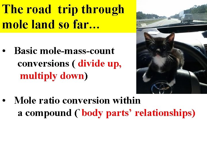 The road trip through mole land so far… • Basic mole-mass-count conversions ( divide