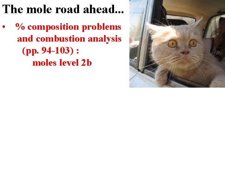 The mole road ahead. . . • % composition problems and combustion analysis (pp.