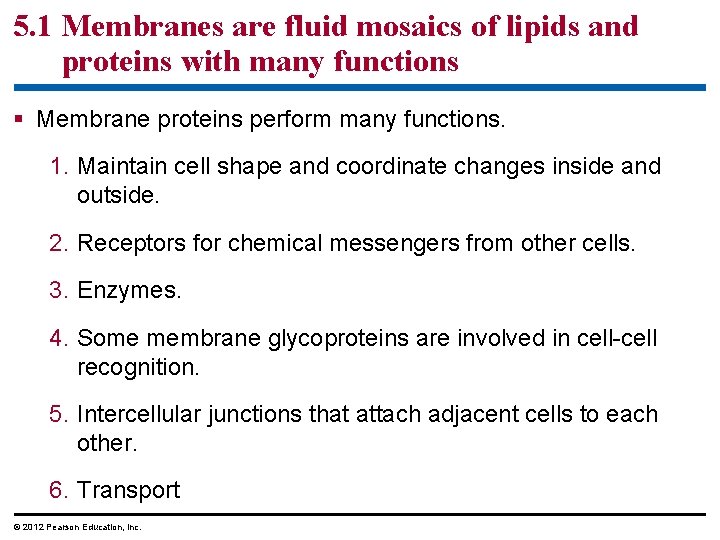 5. 1 Membranes are fluid mosaics of lipids and proteins with many functions §