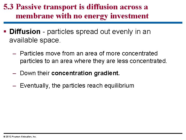 5. 3 Passive transport is diffusion across a membrane with no energy investment §