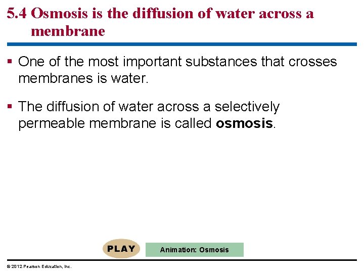 5. 4 Osmosis is the diffusion of water across a membrane § One of