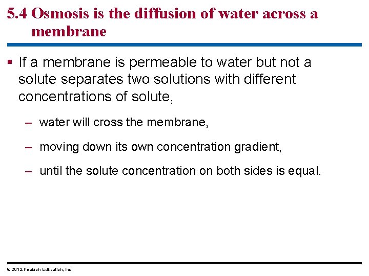 5. 4 Osmosis is the diffusion of water across a membrane § If a