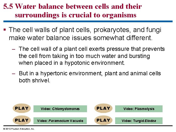 5. 5 Water balance between cells and their surroundings is crucial to organisms §