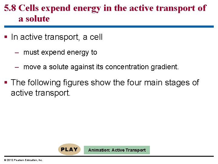 5. 8 Cells expend energy in the active transport of a solute § In