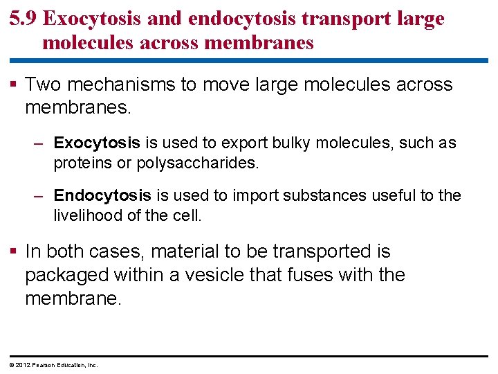 5. 9 Exocytosis and endocytosis transport large molecules across membranes § Two mechanisms to