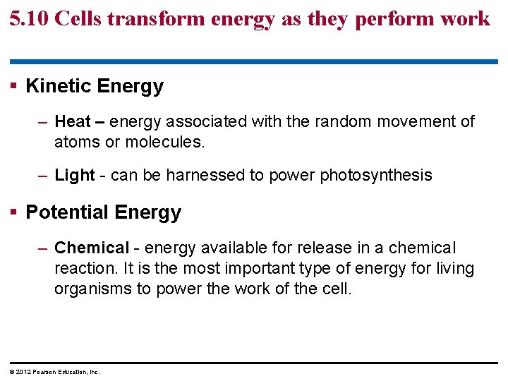 5. 10 Cells transform energy as they perform work § Kinetic Energy – Heat