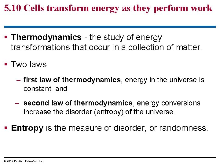 5. 10 Cells transform energy as they perform work § Thermodynamics - the study