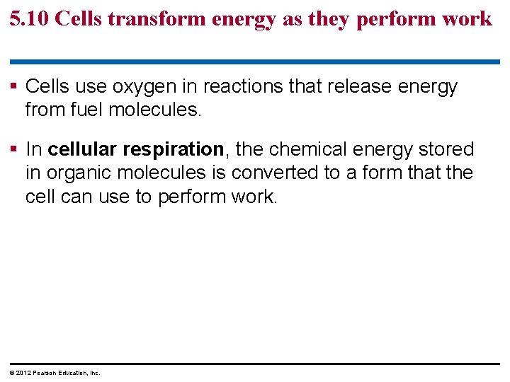 5. 10 Cells transform energy as they perform work § Cells use oxygen in