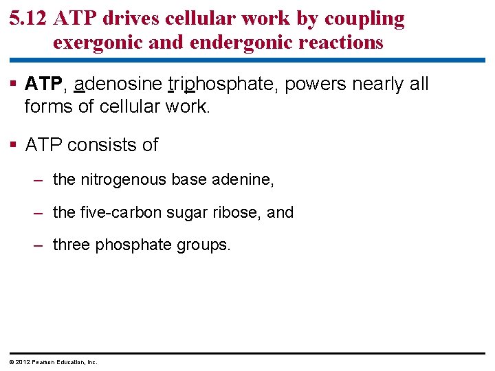 5. 12 ATP drives cellular work by coupling exergonic and endergonic reactions § ATP,