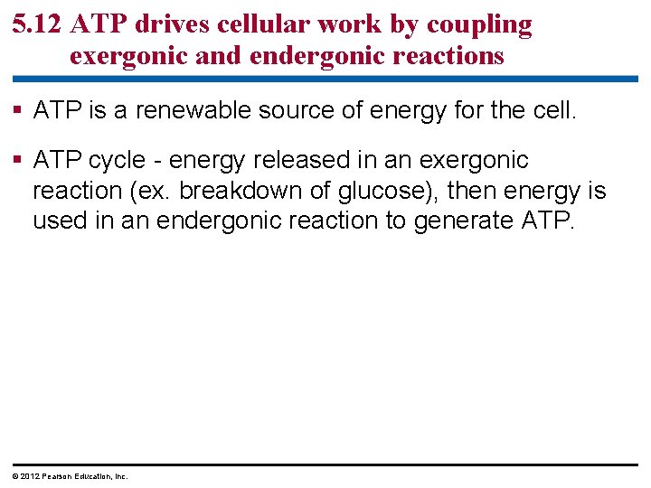 5. 12 ATP drives cellular work by coupling exergonic and endergonic reactions § ATP