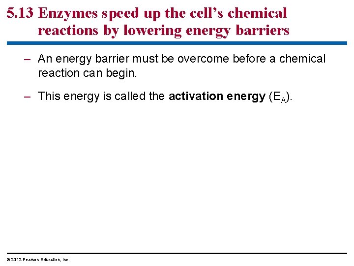 5. 13 Enzymes speed up the cell’s chemical reactions by lowering energy barriers –