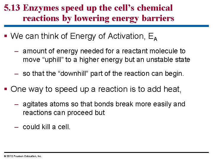 5. 13 Enzymes speed up the cell’s chemical reactions by lowering energy barriers §