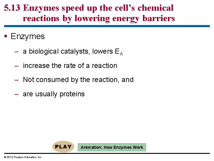 5. 13 Enzymes speed up the cell’s chemical reactions by lowering energy barriers §