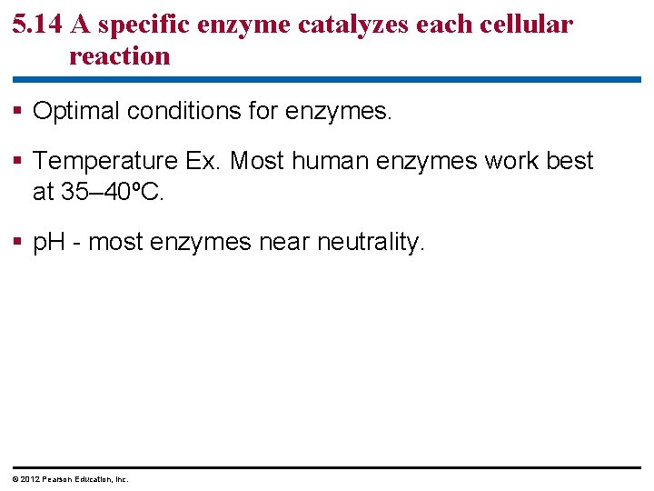 5. 14 A specific enzyme catalyzes each cellular reaction § Optimal conditions for enzymes.