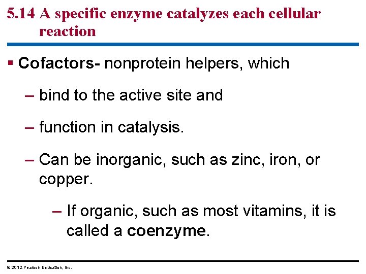 5. 14 A specific enzyme catalyzes each cellular reaction § Cofactors- nonprotein helpers, which