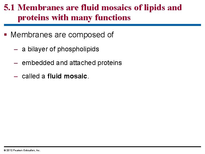 5. 1 Membranes are fluid mosaics of lipids and proteins with many functions §