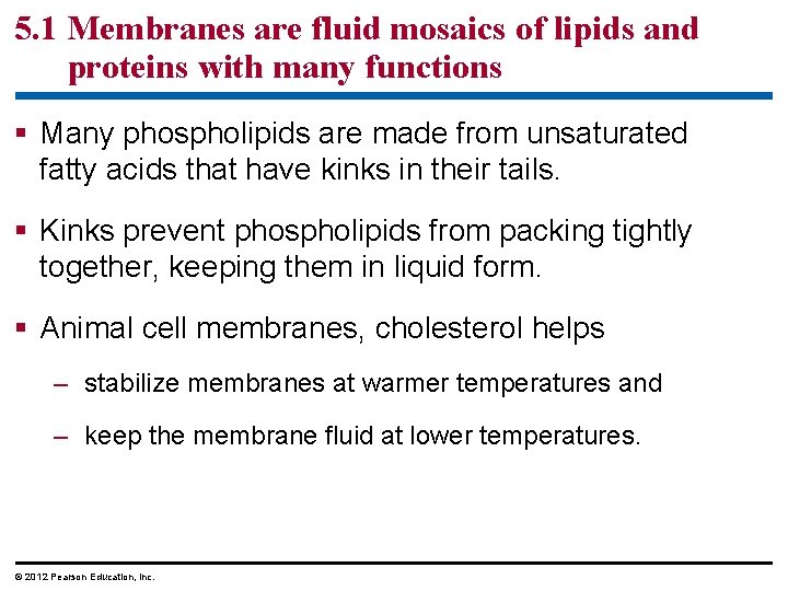 5. 1 Membranes are fluid mosaics of lipids and proteins with many functions §