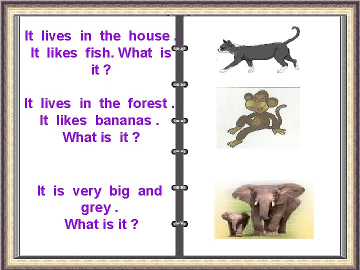 It lives in the house. It likes fish. What is it ? It lives