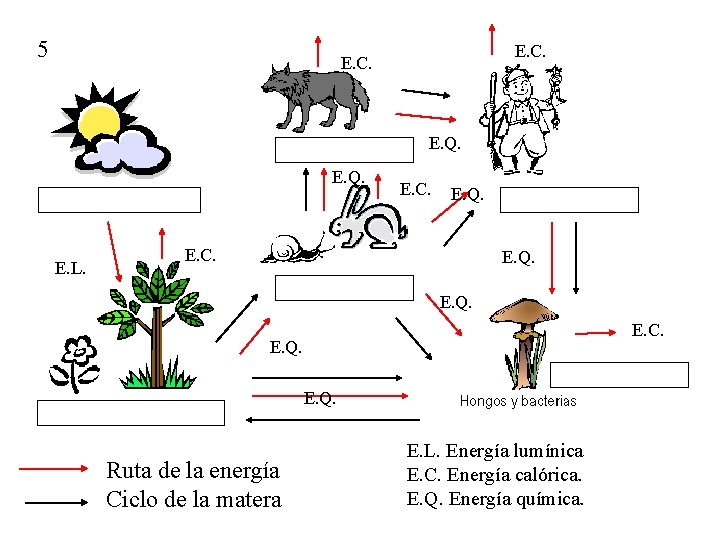 5 E. C. E. Q. E. L. E. C. E. Q. Ruta de la