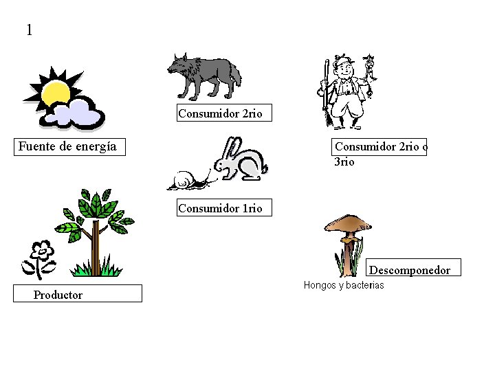 1 Consumidor 2 rio Fuente de energía Consumidor 2 rio o 3 rio Consumidor