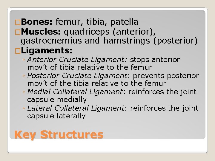 �Bones: femur, tibia, patella �Muscles: quadriceps (anterior), gastrocnemius and hamstrings (posterior) �Ligaments: ◦ Anterior