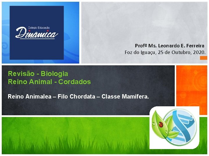 Profº Ms. Leonardo E. Ferreira Foz do Iguaçu, 25 de Outubro, 2020. Revisão -