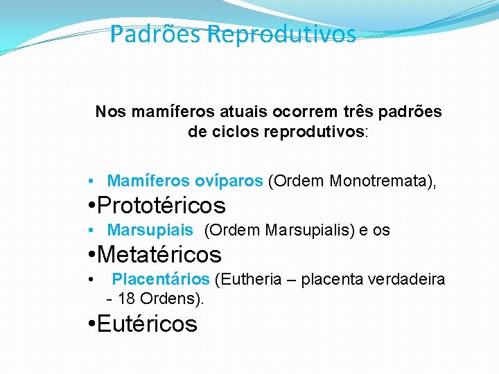 Padrões Reprodutivos Nos mamíferos atuais ocorrem três padrões de ciclos reprodutivos: • Mamíferos ovíparos