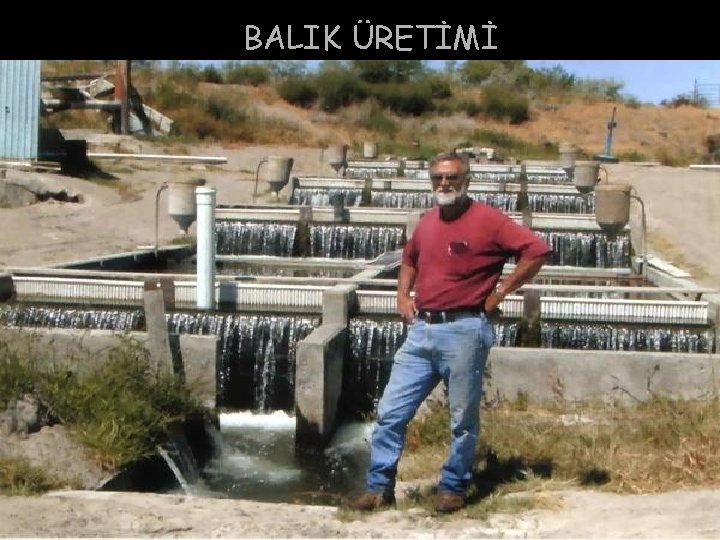 BALIK ÜRETİMİ 