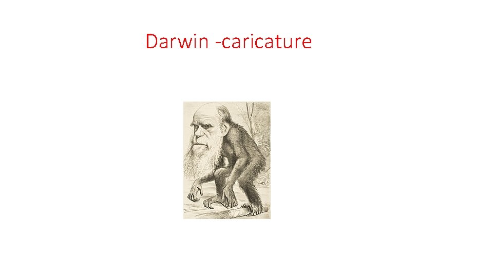 Darwin -caricature 