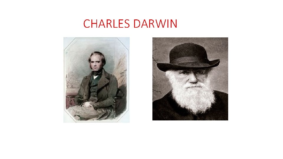 CHARLES DARWIN 