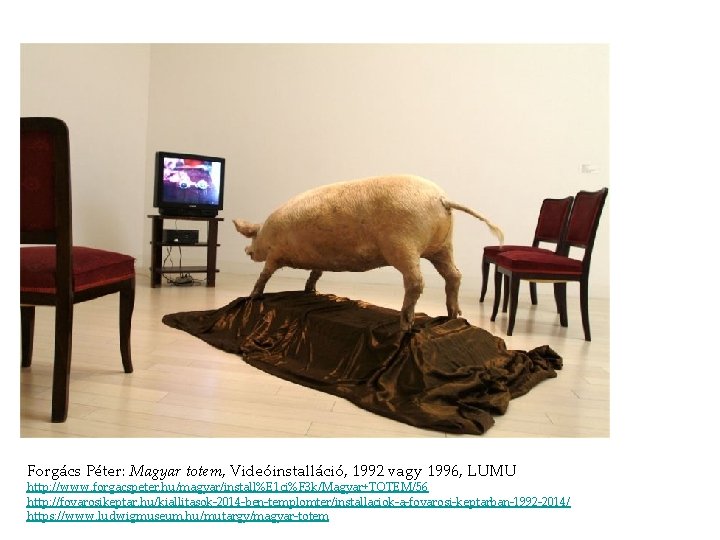 Forgács Péter: Magyar totem, Videóinstalláció, 1992 vagy 1996, LUMU http: //www. forgacspeter. hu/magyar/install%E 1 Forgács Péter: Magyar totem, Videóinstalláció, 1992 vagy 1996, LUMU http: //www. forgacspeter. hu/magyar/install%E 1