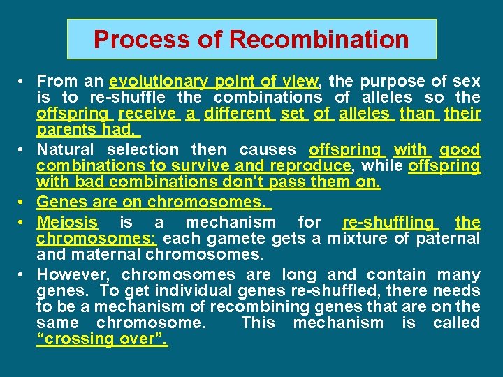Process of Recombination • From an evolutionary point of view, the purpose of sex