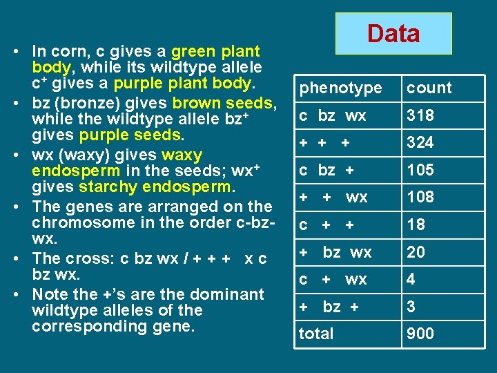  • In corn, c gives a green plant body, while its wildtype allele