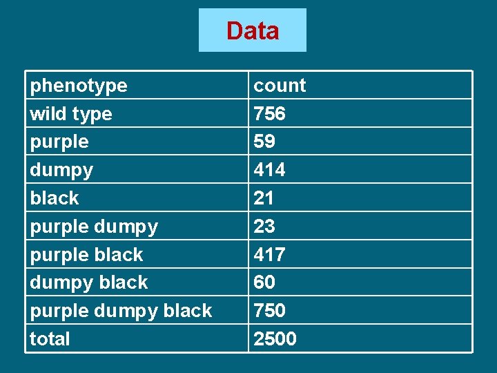 Data phenotype wild type purple dumpy black purple dumpy purple black dumpy black purple