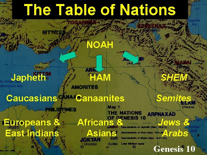 The Table of Nations NOAH Japheth HAM SHEM Caucasians Canaanites Semites Europeans & East