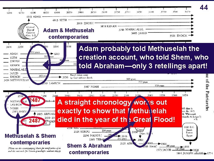 44 Adam & Methuselah contemporaries Adam probably told Methuselah the creation account, who told