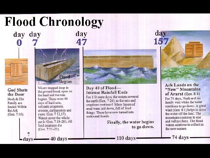 Flood Chronology 