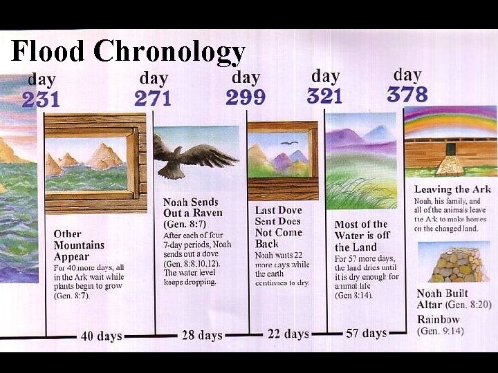 Flood Chronology 