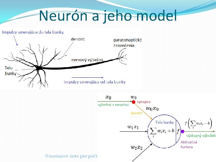 Neurón a jeho model Neurónové siete pre počítačové videnie 2020 -21 26 