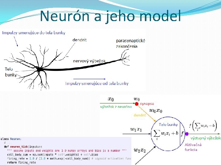 Neurón a jeho model Neurónové siete pre počítačové videnie 2020 -21 28 