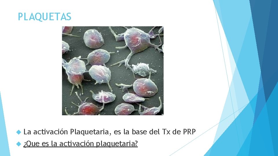 PLAQUETAS La activación Plaquetaria, es la base del Tx de PRP ¿Que es la