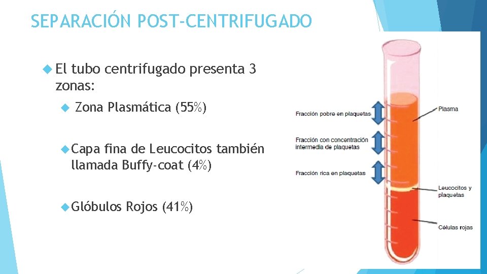 SEPARACIÓN POST-CENTRIFUGADO El tubo centrifugado presenta 3 zonas: Zona Plasmática (55%) Capa fina de