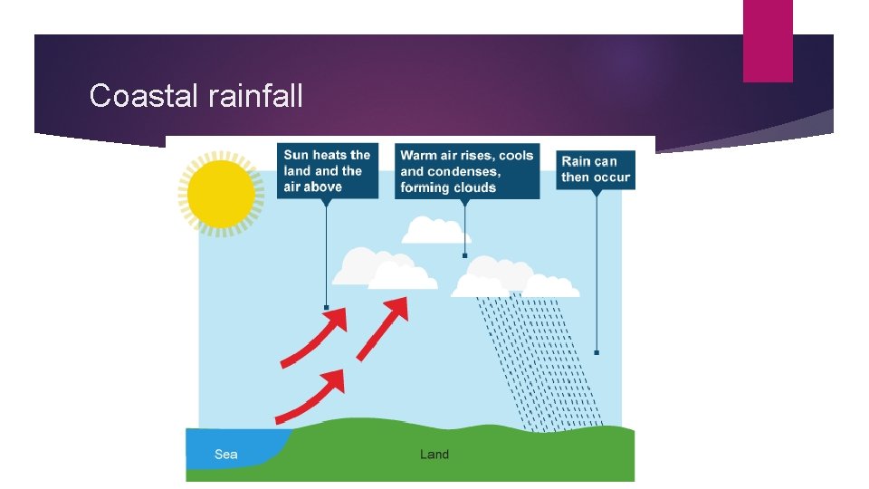 Coastal rainfall 