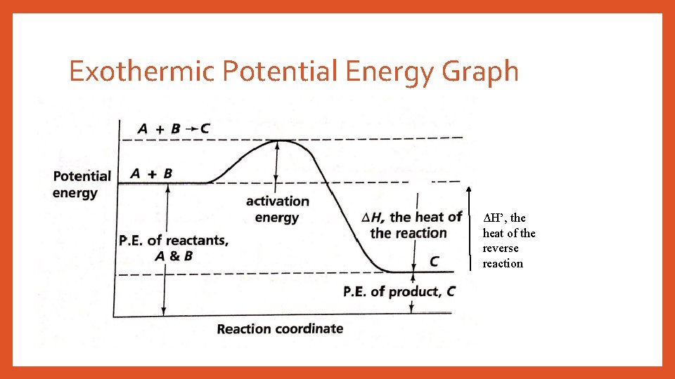 Exothermic Potential Energy Graph ΔH’, the heat of the reverse reaction 