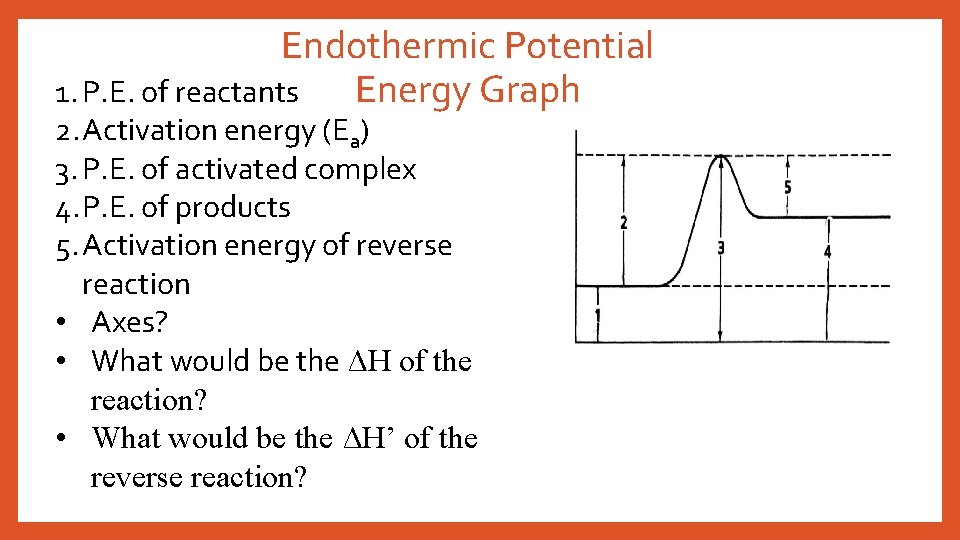 Endothermic Potential Energy Graph 1. P. E. of reactants 2. Activation energy (Ea) 3.