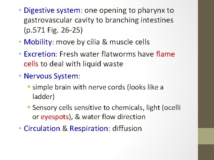  • Digestive system: one opening to pharynx to gastrovascular cavity to branching intestines