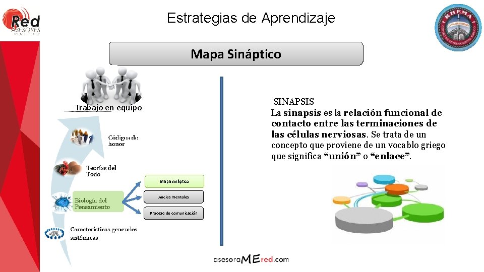 Estrategias de Aprendizaje Mapa Sináptico SINAPSIS La sinapsis es la relación funcional de contacto