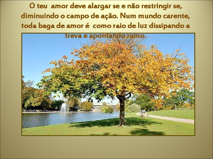 O teu amor deve alargar se e não restringir se, diminuindo o campo de