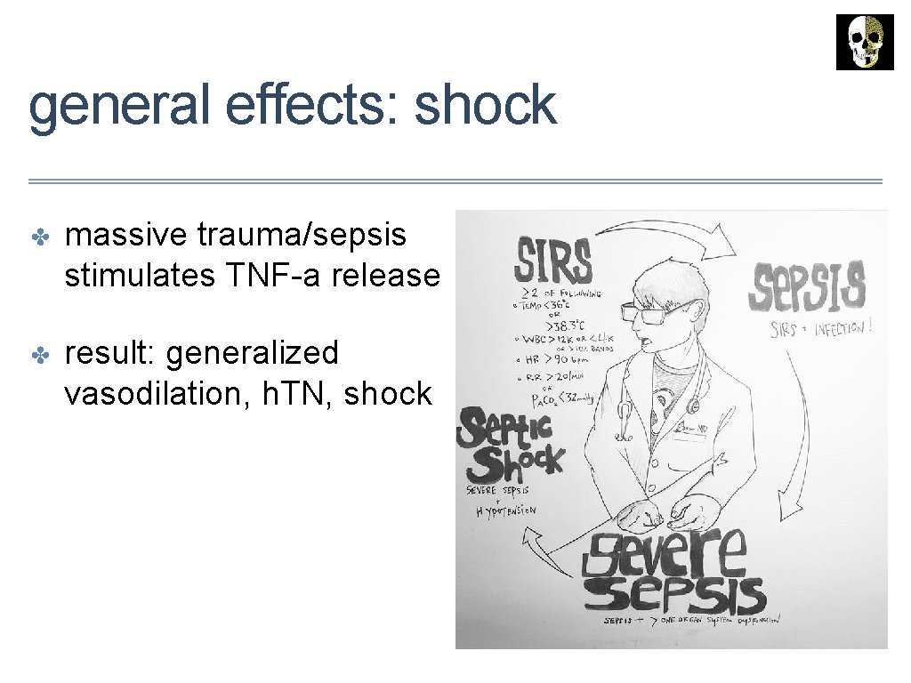 general effects: shock ✤ massive trauma/sepsis stimulates TNF-a release ✤ result: generalized vasodilation, h.